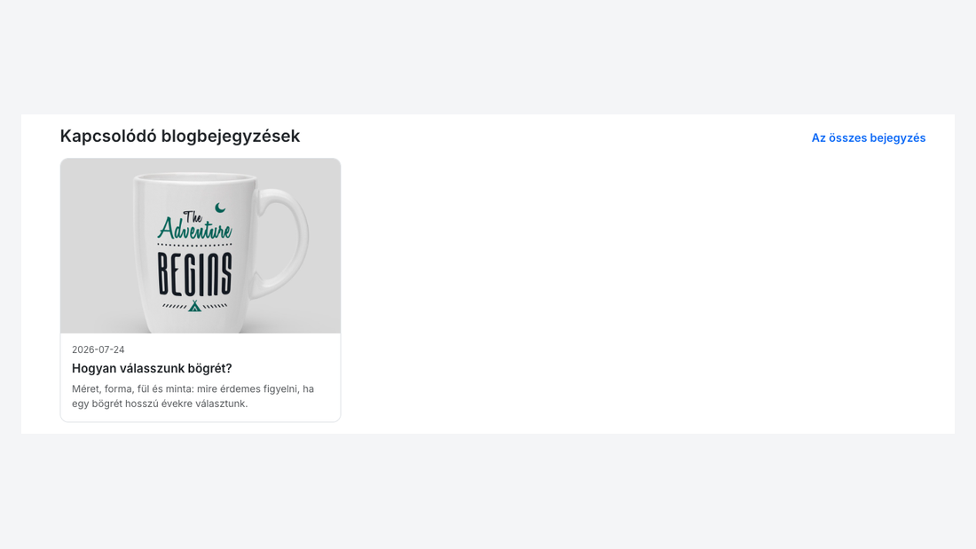 Egy termék oldala a kapcsolódó blogbejegyzés kártyájával